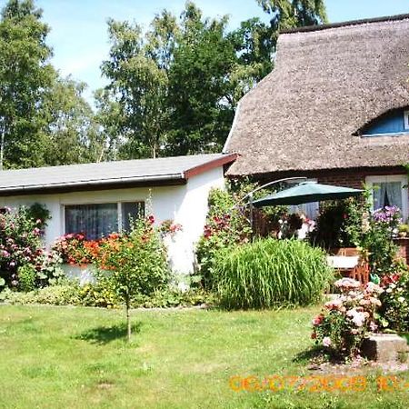 Ferienwohnung "Kleine Deichperle" Prerow Εξωτερικό φωτογραφία